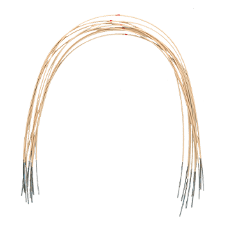 Archwire image