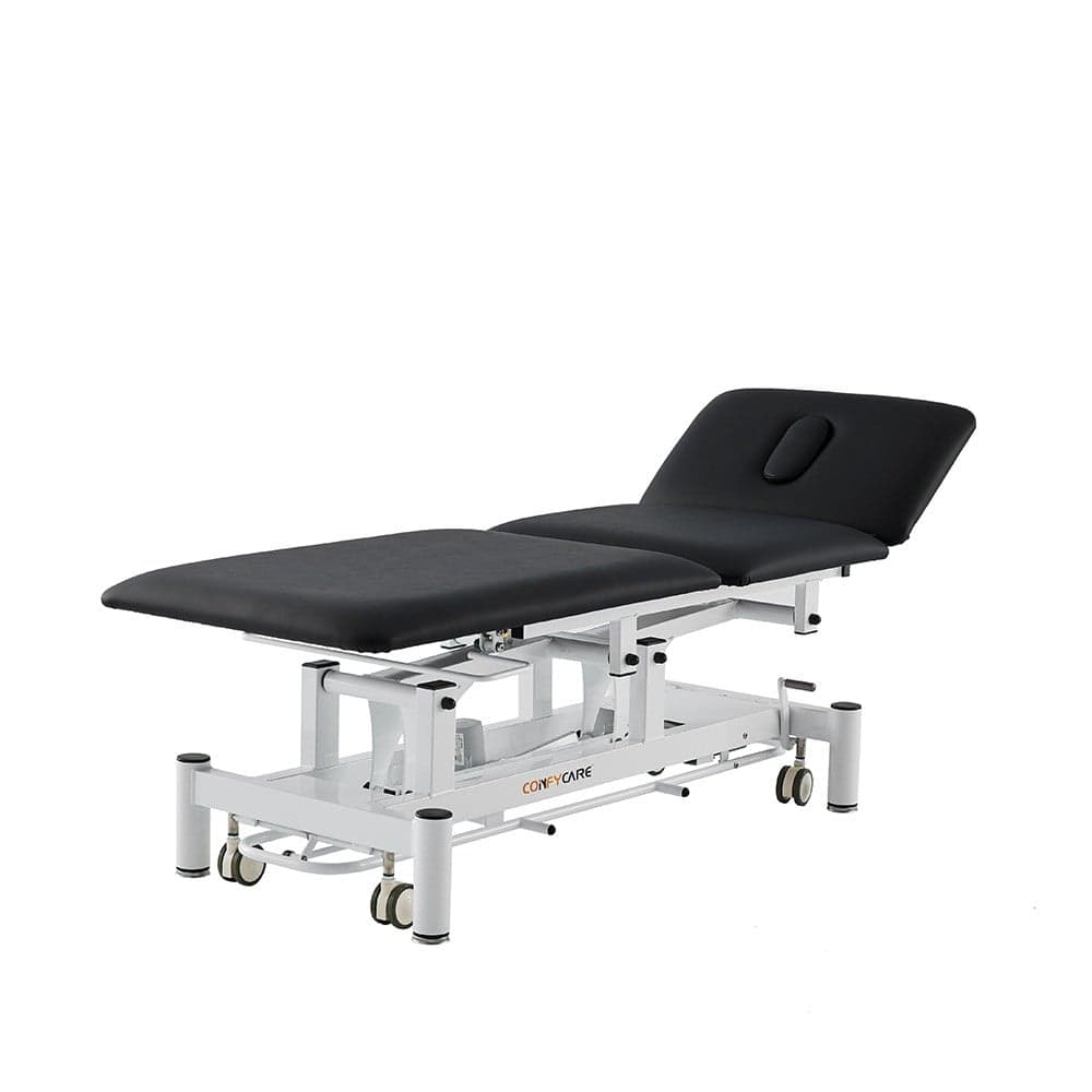 Three-Function Electric Treatment Table
