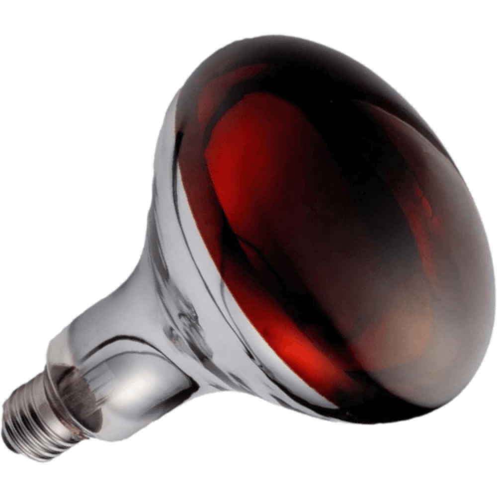 Infrared Heat Lamp, 250W