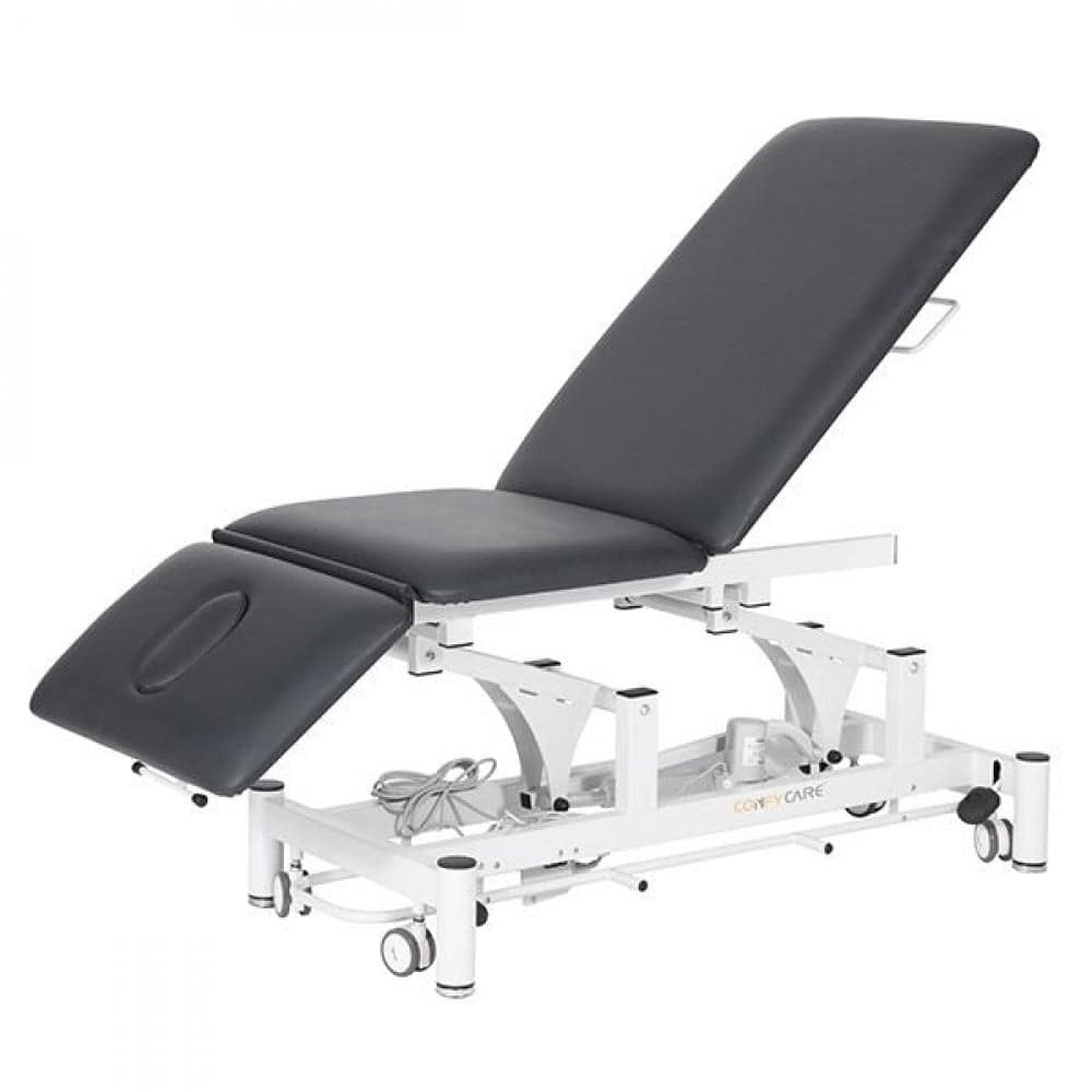Three-Function Electric Treatment Table