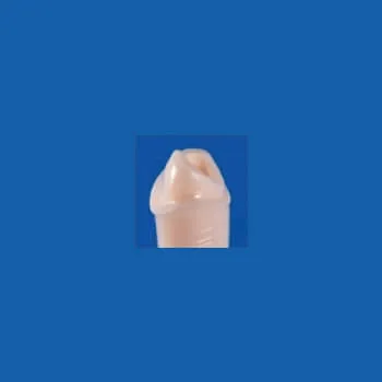 A21AN-UL18C, Pre-Prepared Tooth #21 (Post)