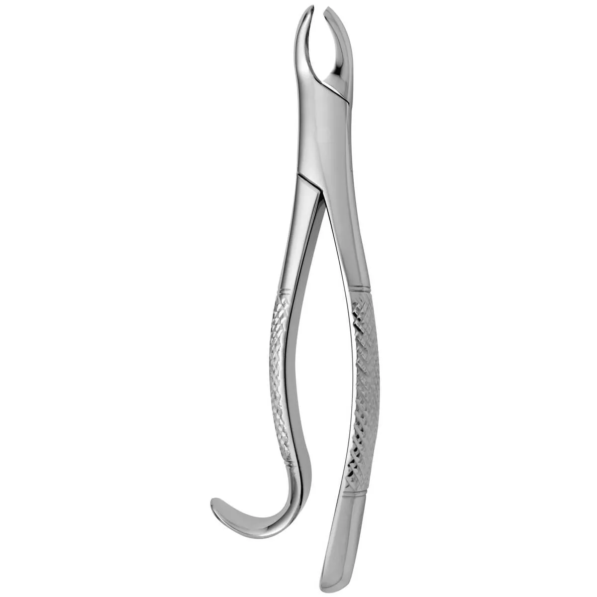 Tooth Forceps American N.18-R