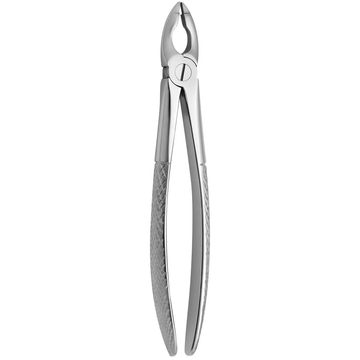 Tooth Forceps N.180