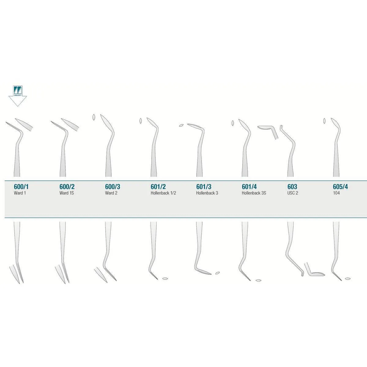 Amalgam/Composite Carver Ward 1
