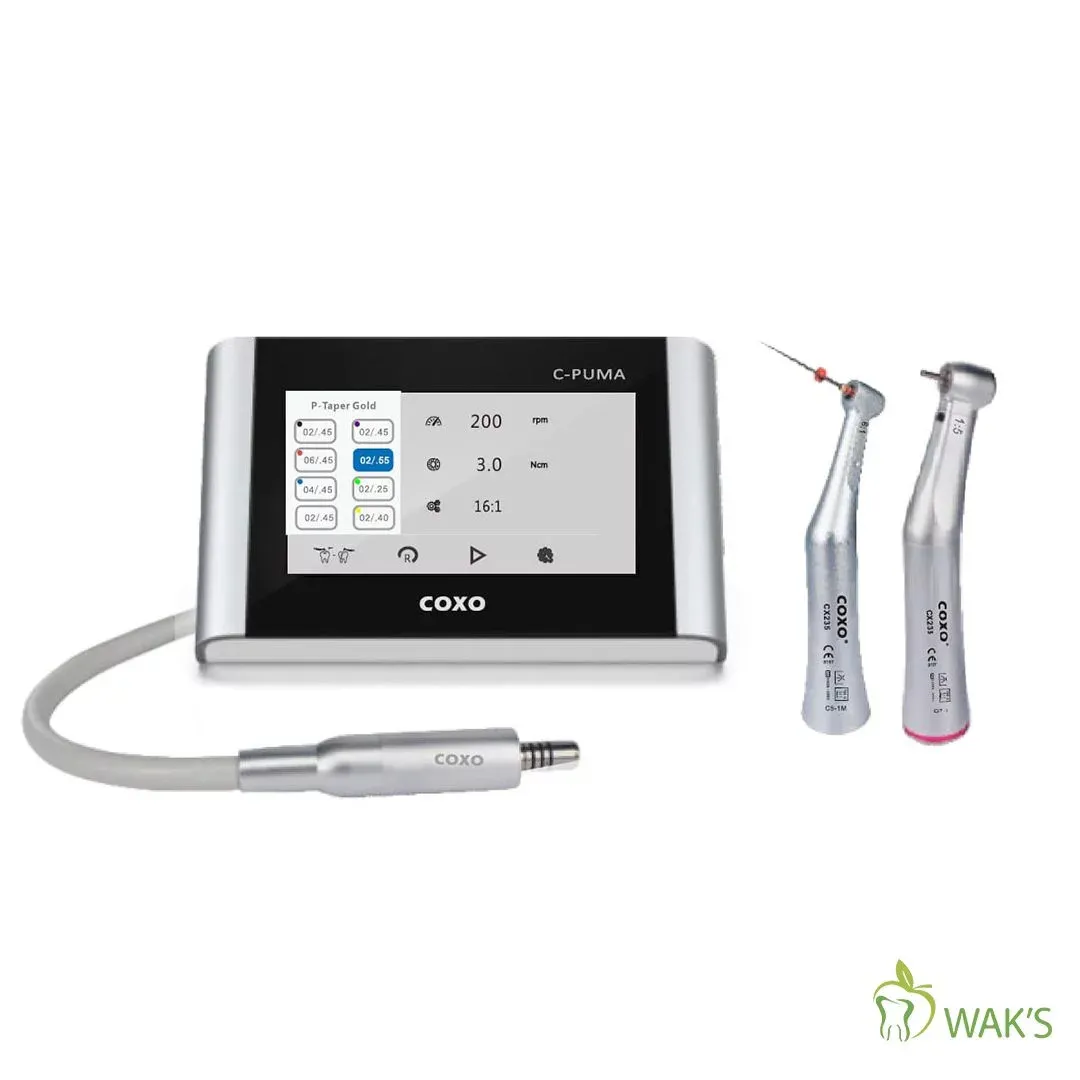 C-Puma Master Electrical Motor + 2 Handpieces