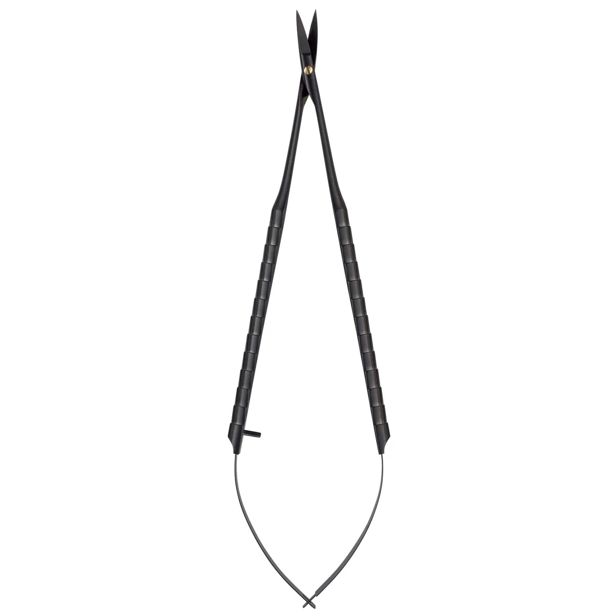 جراحة دقيقة Castro، BlackLine