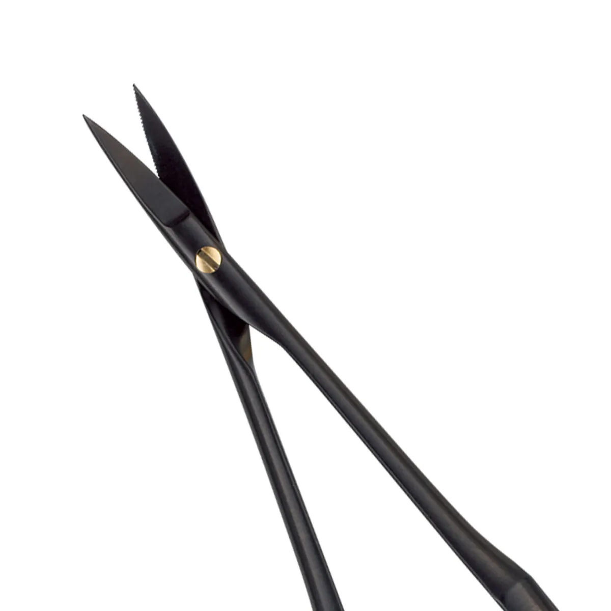 جراحة دقيقة Castro، BlackLine