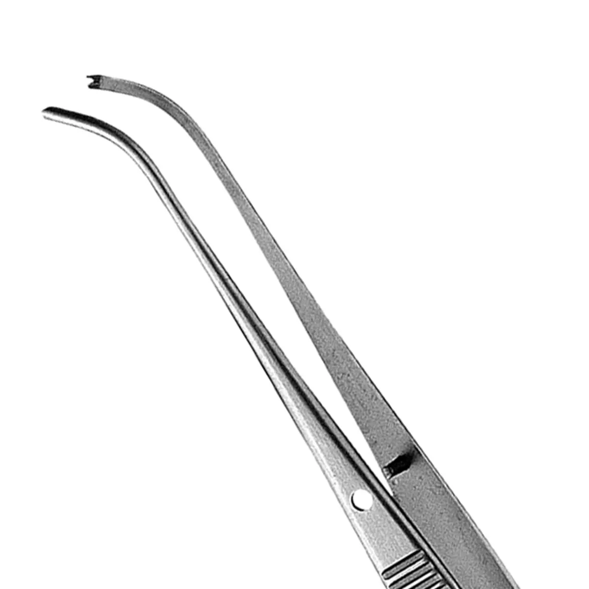 Curved Kramer-Nevins Tissue Pliers 1x2