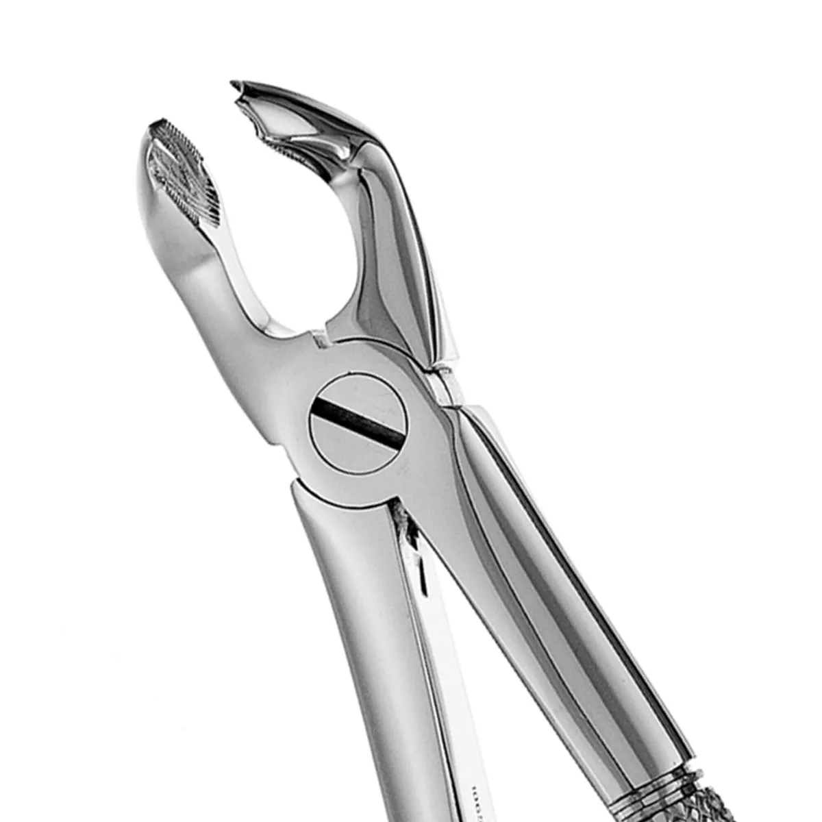 Lower Wisdom Forceps #79