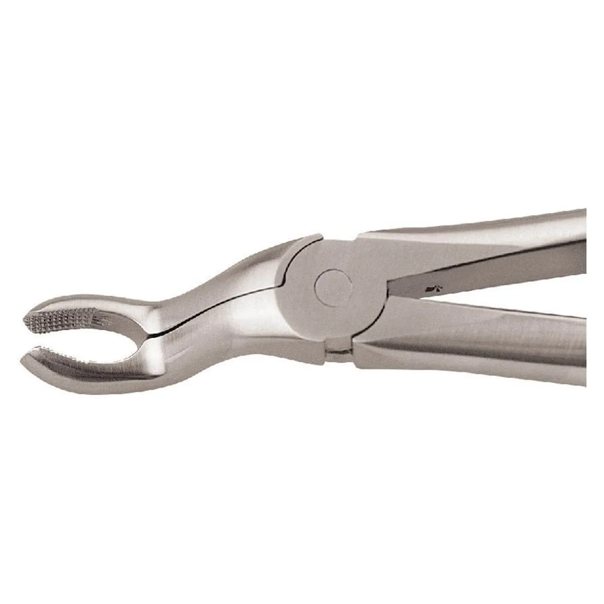 European Style Forceps #67A