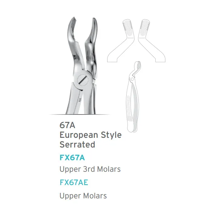 European Style Forceps #67A