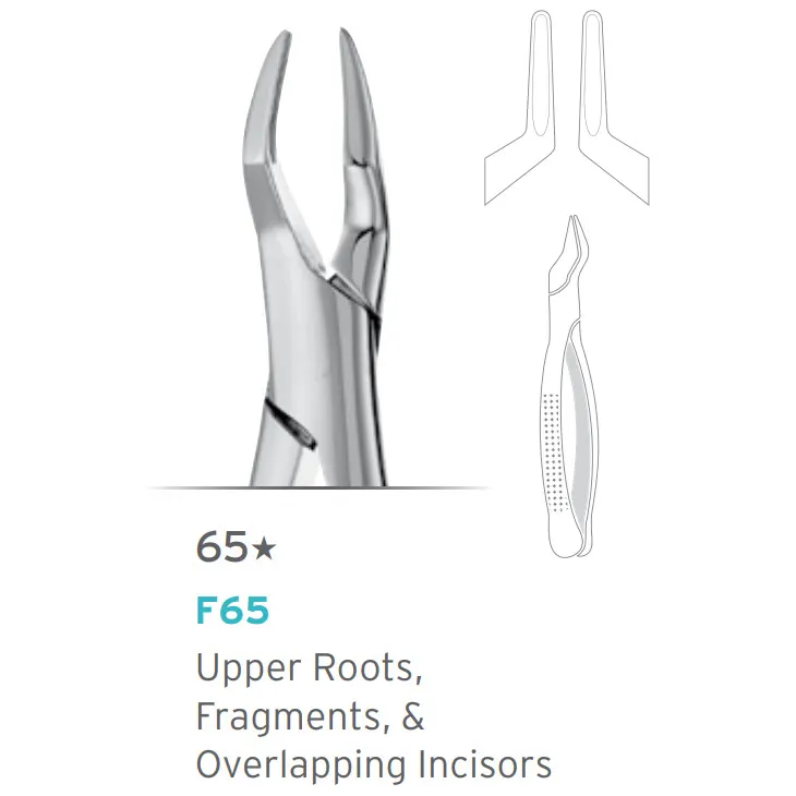 Upper Overlapping Incisors Forceps #65