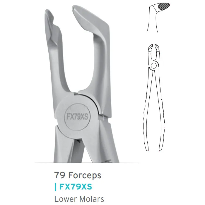 Lower Wisdom Forceps #79 Atraumair