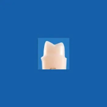 A25AN-UL41, Pre-Prepared Tooth #24 (Jacket)
