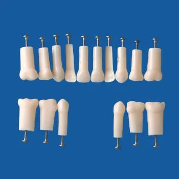 A4AN-900, Simple Root Primary Tooth Model #64