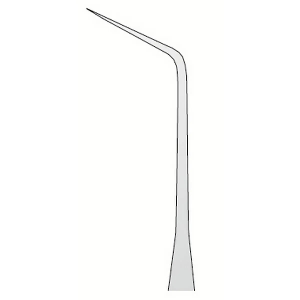 مسبار أناتومي N.6