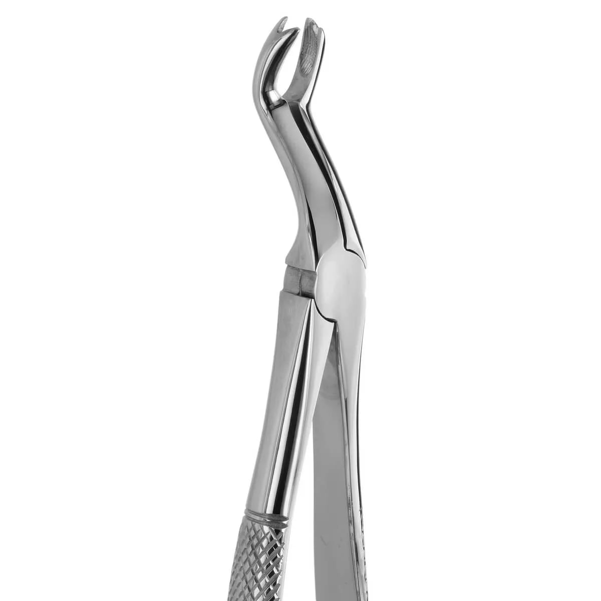 Tooth Forceps Trotter N.171