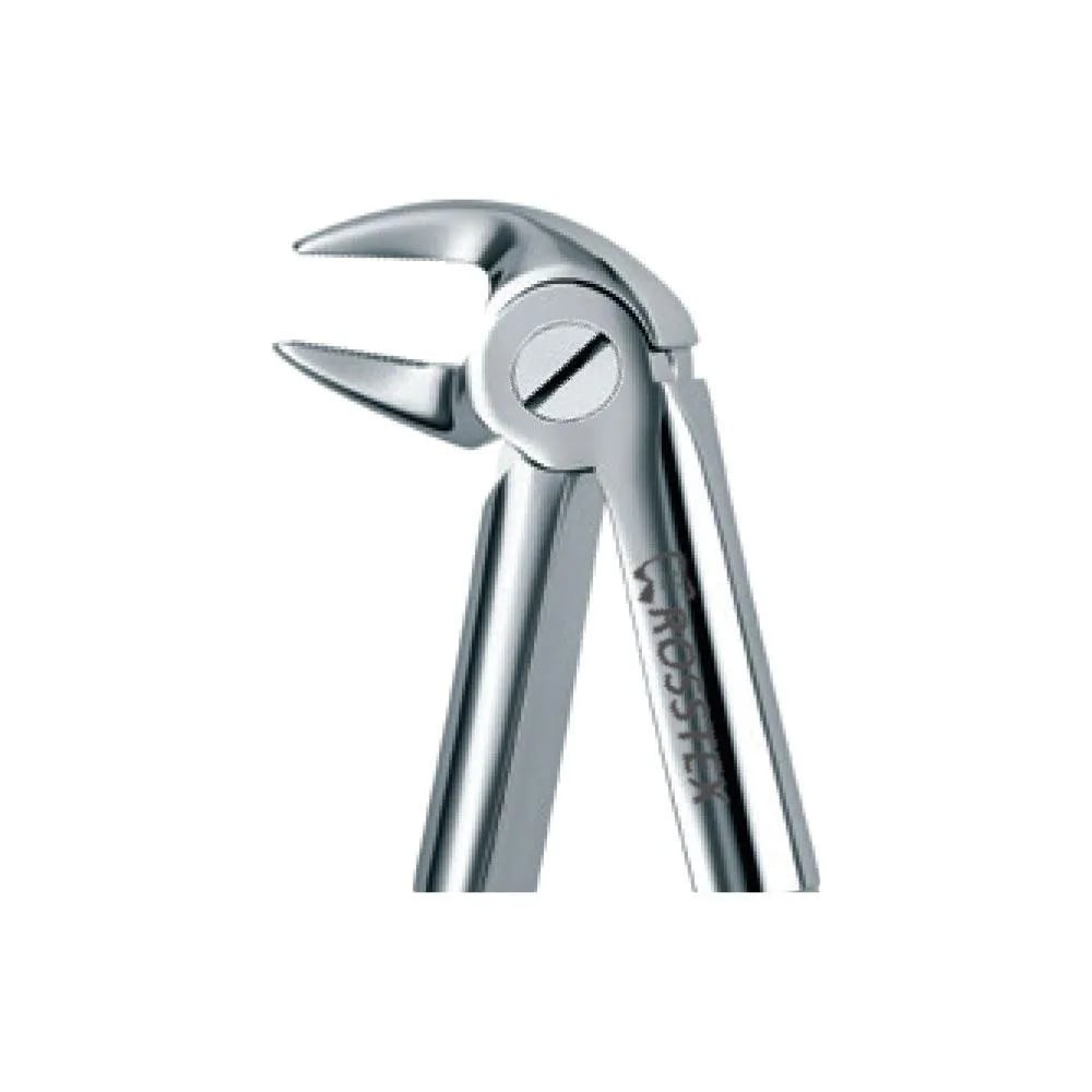 Dental Extraction Forceps 33A, Standard Handle