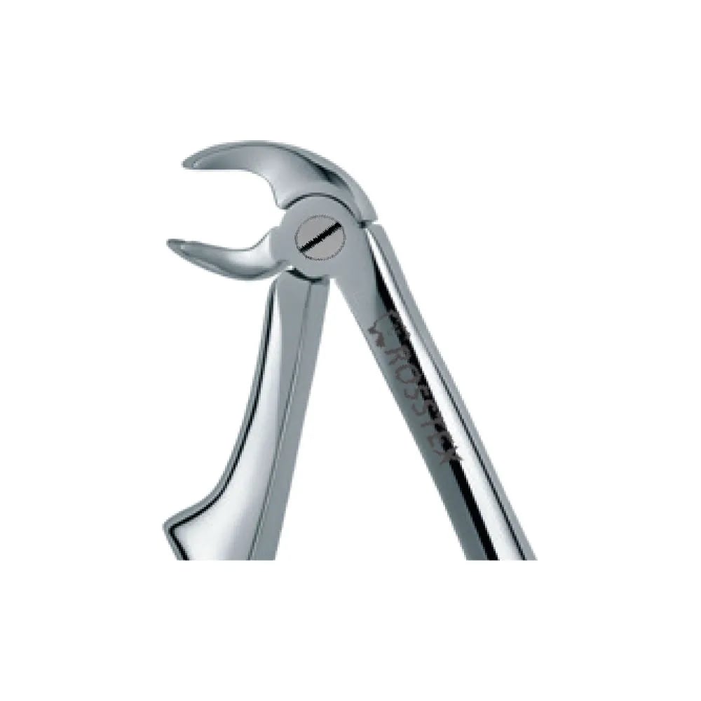 Dental Extraction Forceps 170, Standard Handle