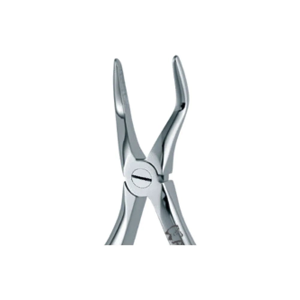 Dental Extraction Forceps 122, Standard Handle