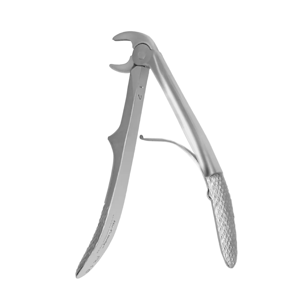 European Style Pedo Forceps #1C