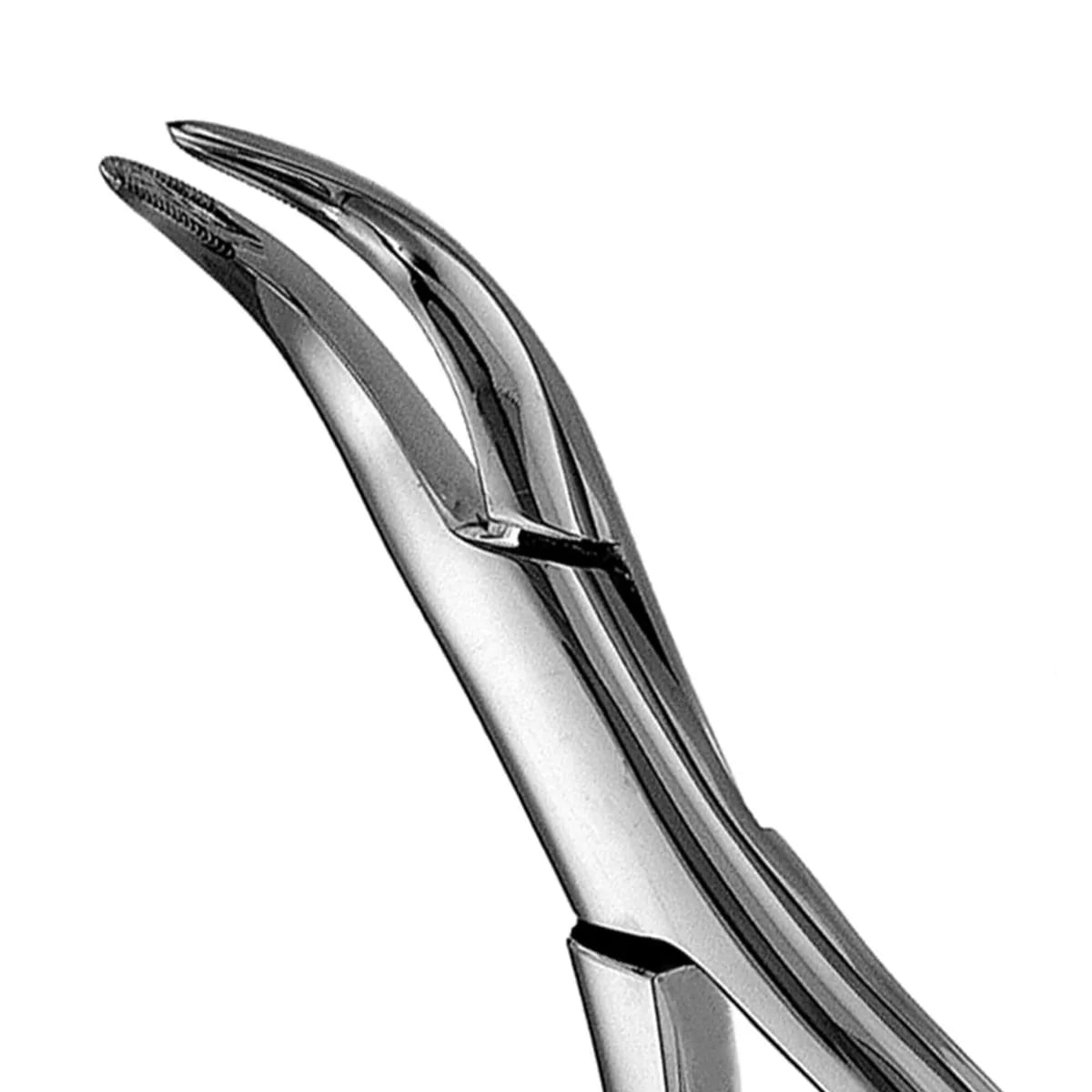 Lower Roots Extraction Forceps, Serrated #301