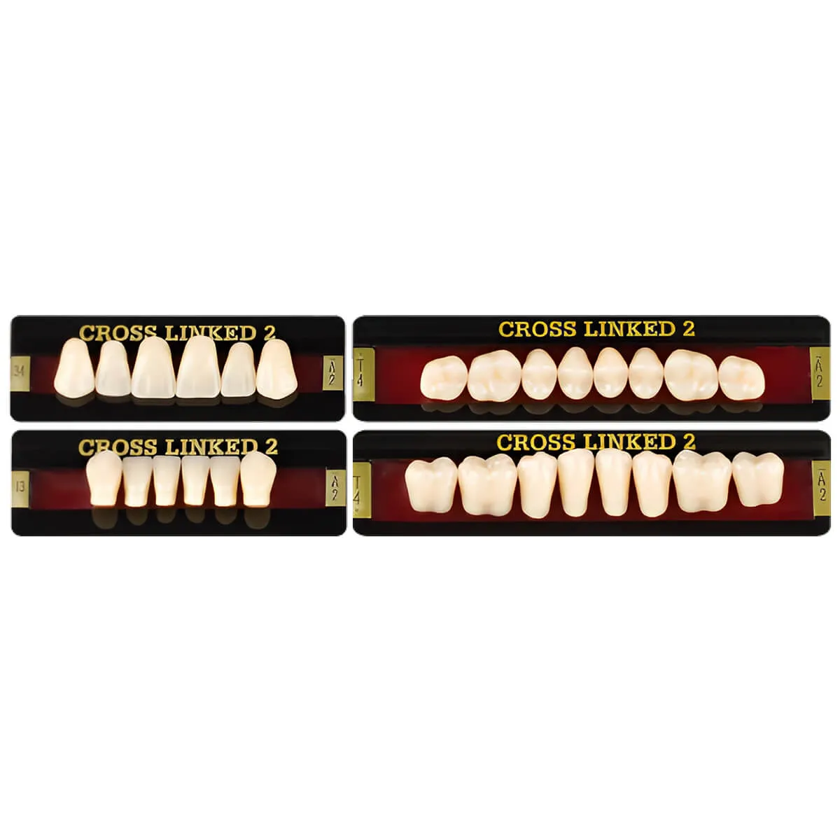 Cross Linked 2 Acrylic Teeth, A3 - L