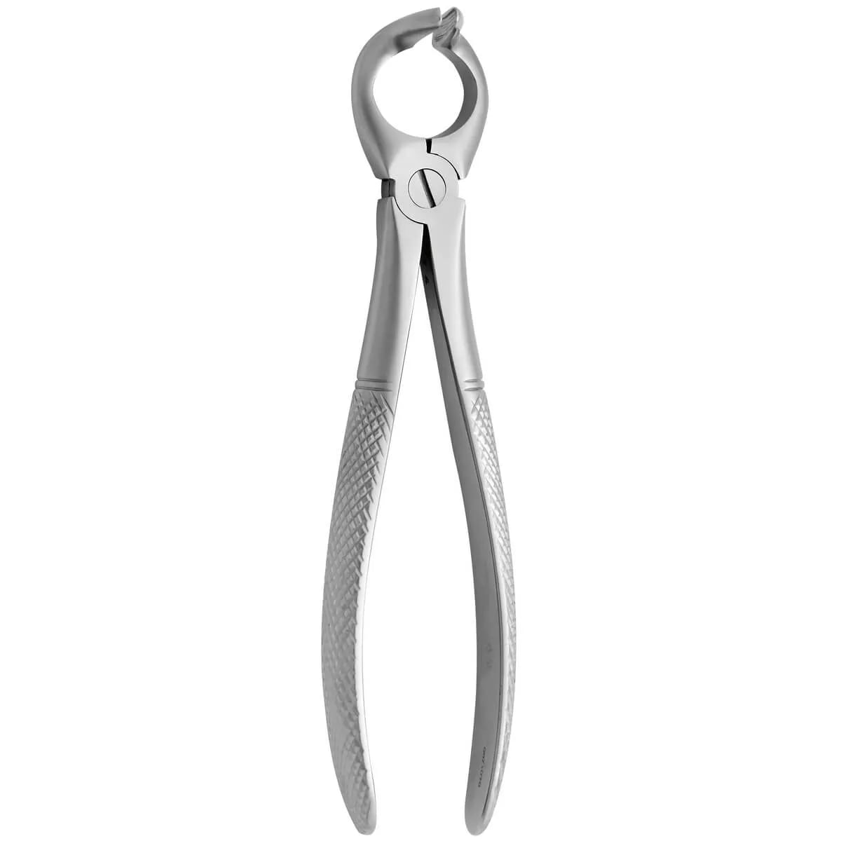 Tooth Forceps N.68